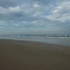 layyj